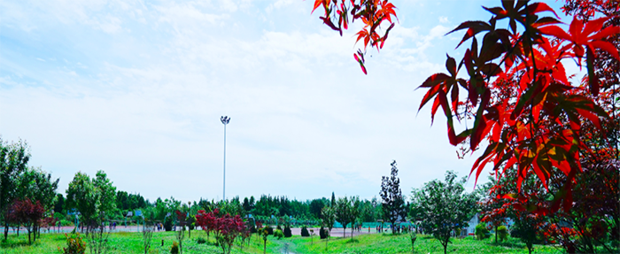 มหาวิทยาลัยในจีน Sichuan Technology Business College 