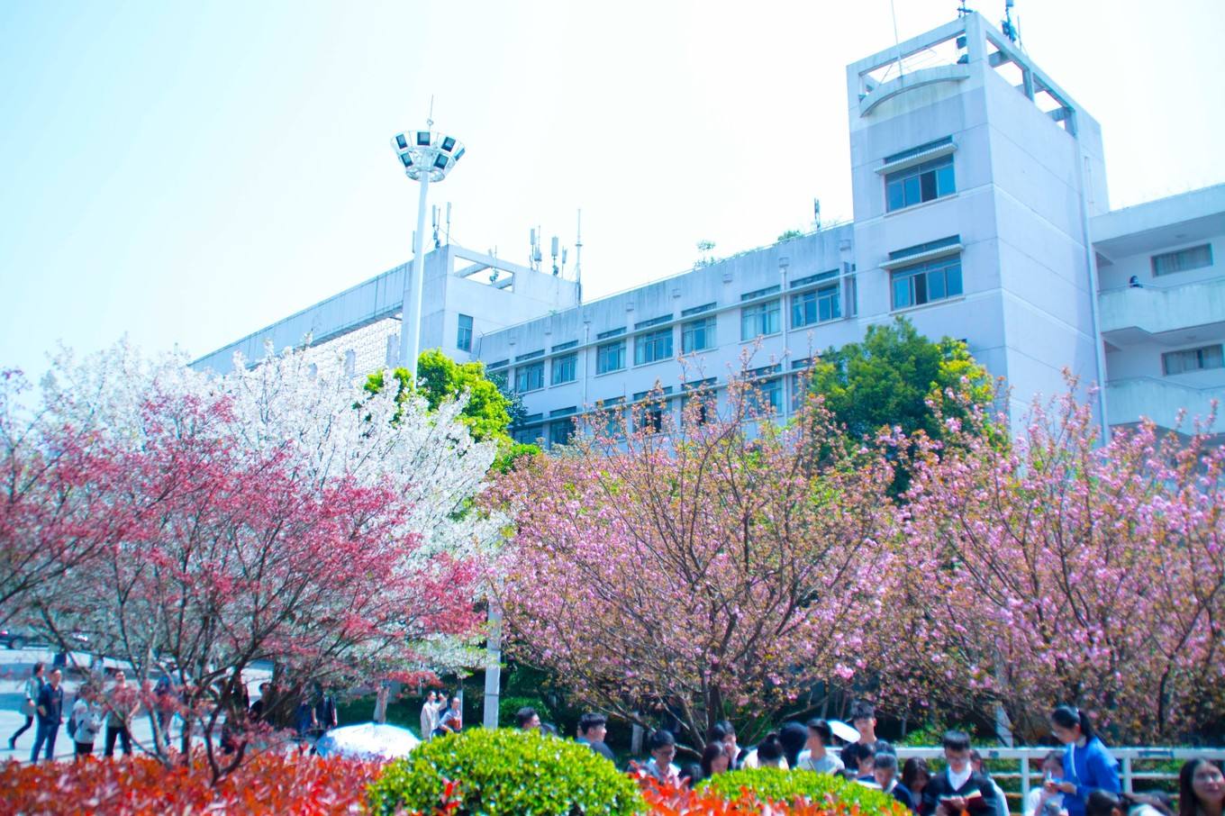 Central South University of Forestry and Technology