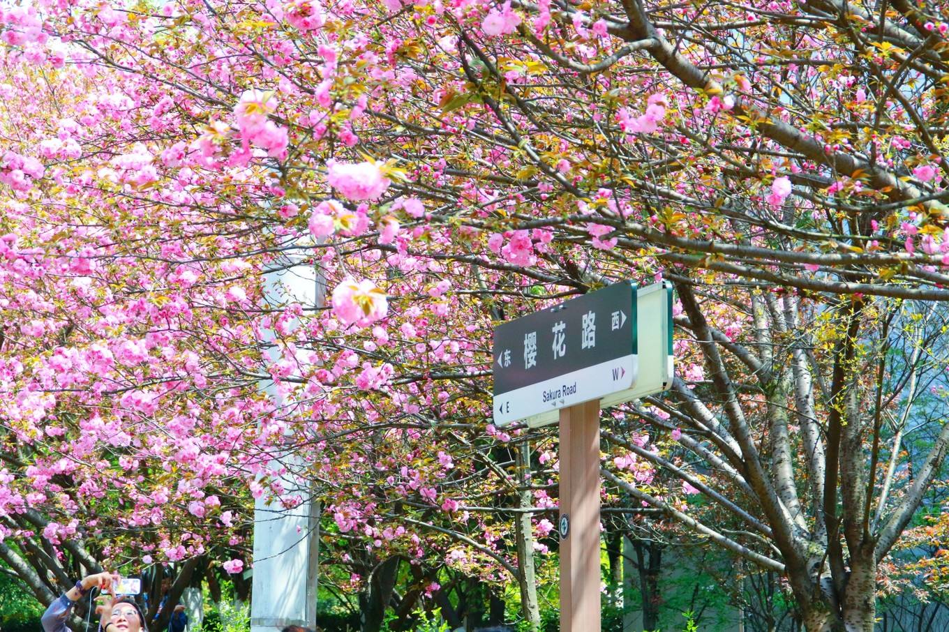 Central South University of Forestry and Technology