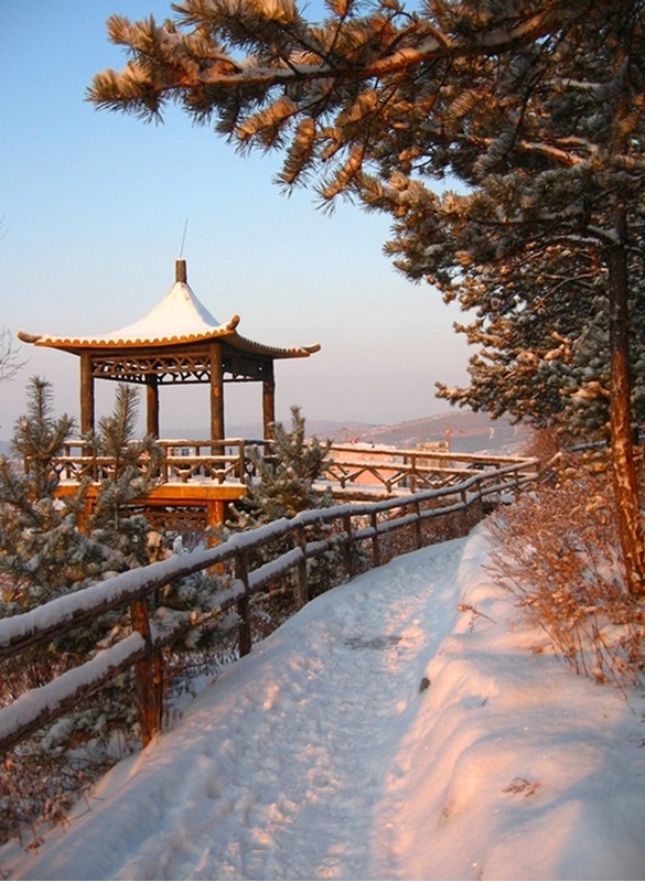 Dalian University