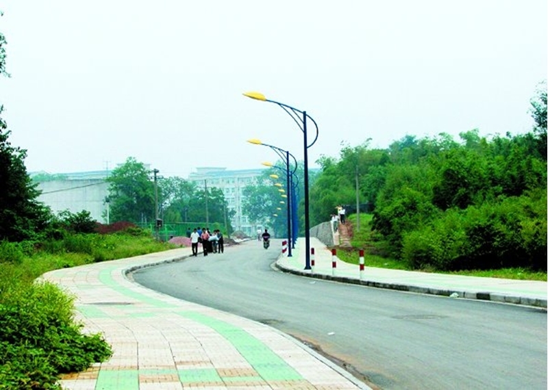 Nanjing Forestry University 