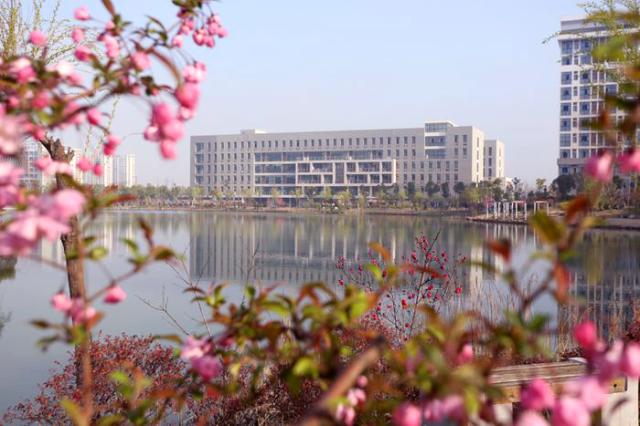 Hefei University 
