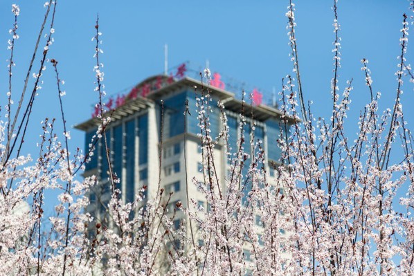Nanjing University of Aeronautics and Astronautics
