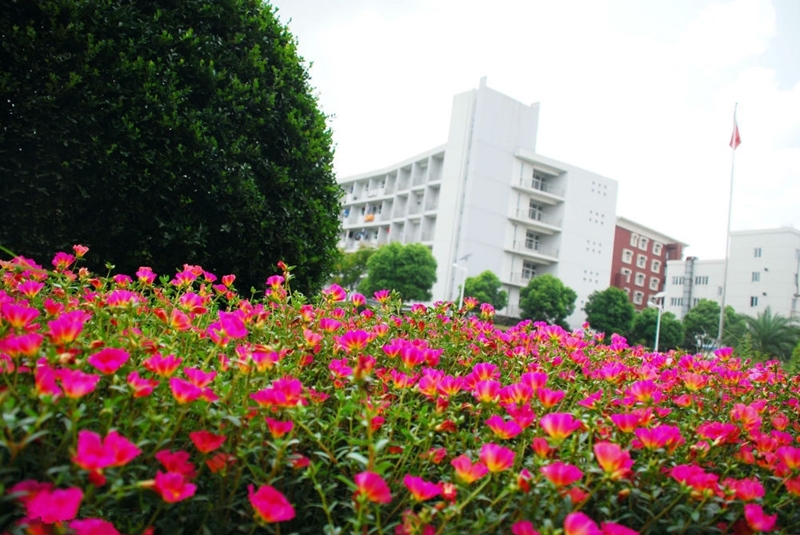 Shanghai University