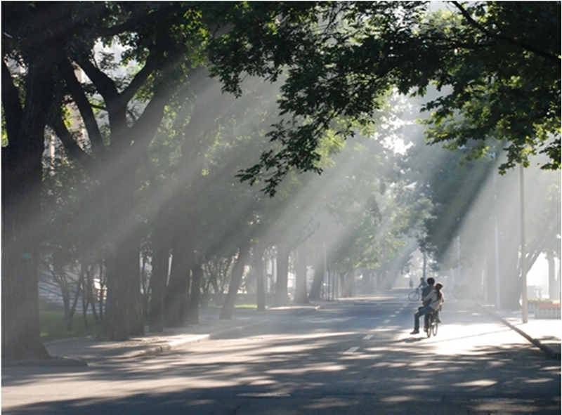 มหาวิทยาลัยในจีน:Tianjin University 天津大学