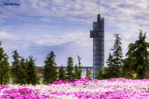 Xidian University