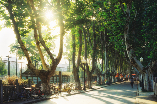 Nanjing University of Aeronautics and Astronautics