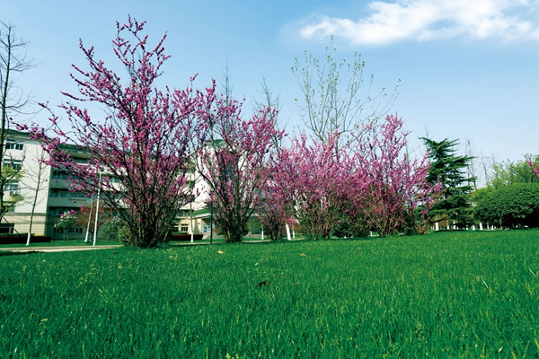 Hefei University 