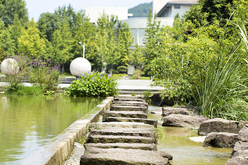 Zhejiang A & F University 