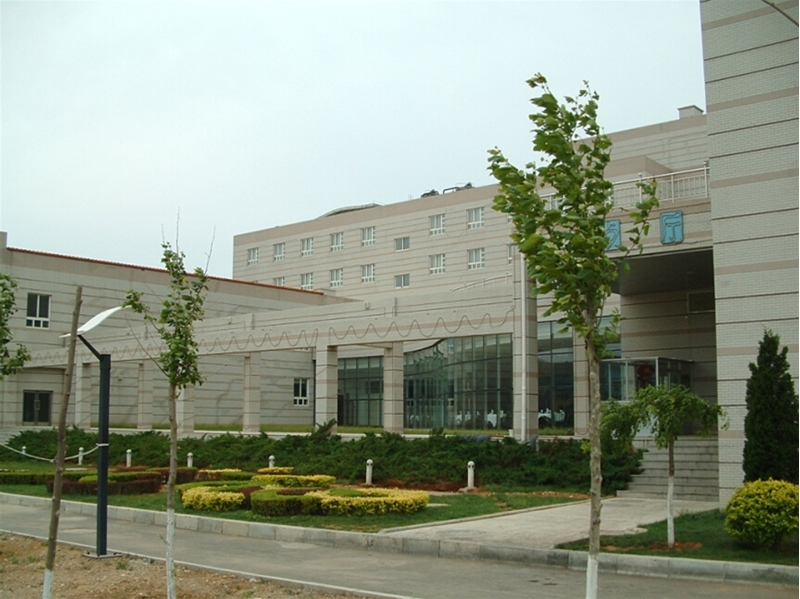 Dalian University