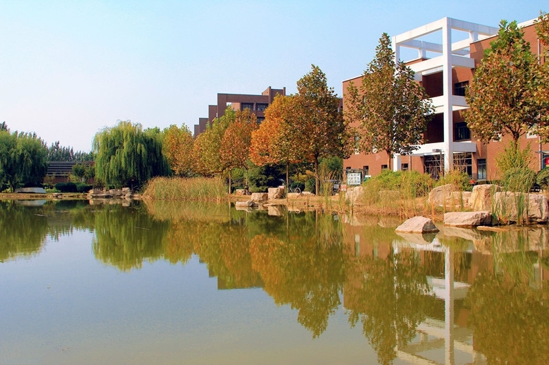 Shandong University of Art&Desig 