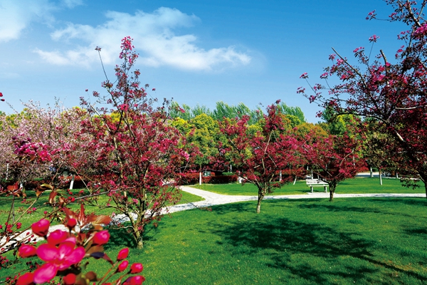 Hefei University 