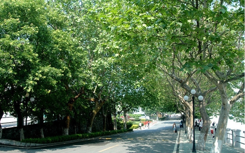 Dalian Ocean University