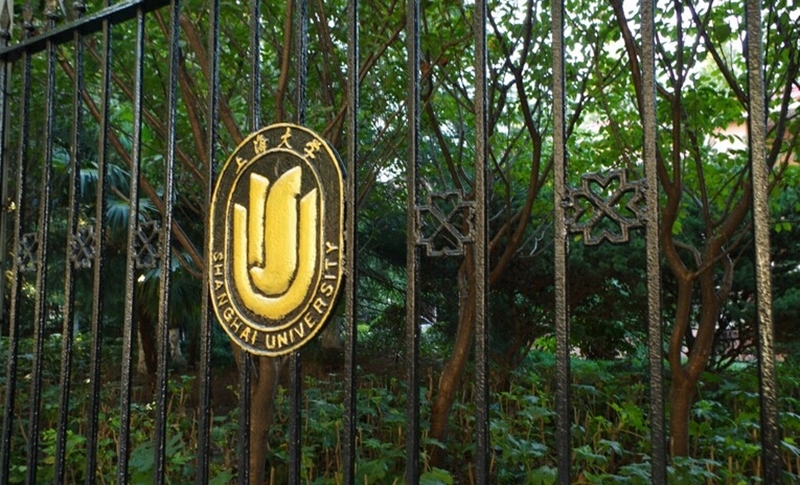 Shanghai University