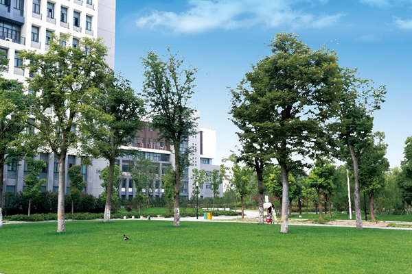 Hefei University 