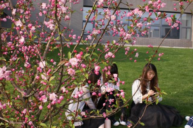 Hefei University 