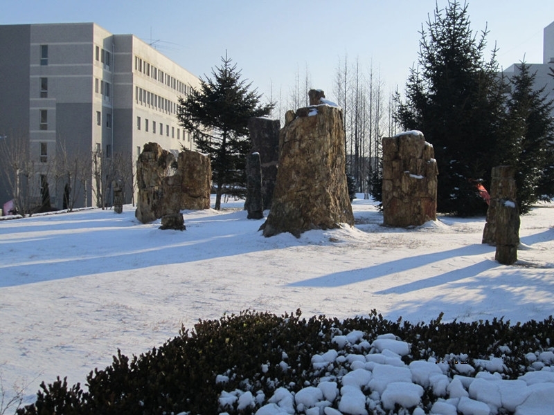 Dalian University