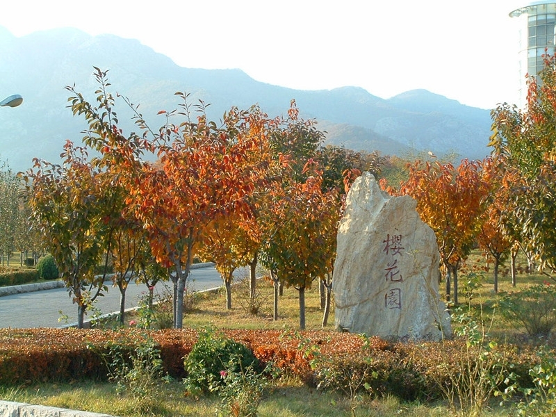 Dalian University