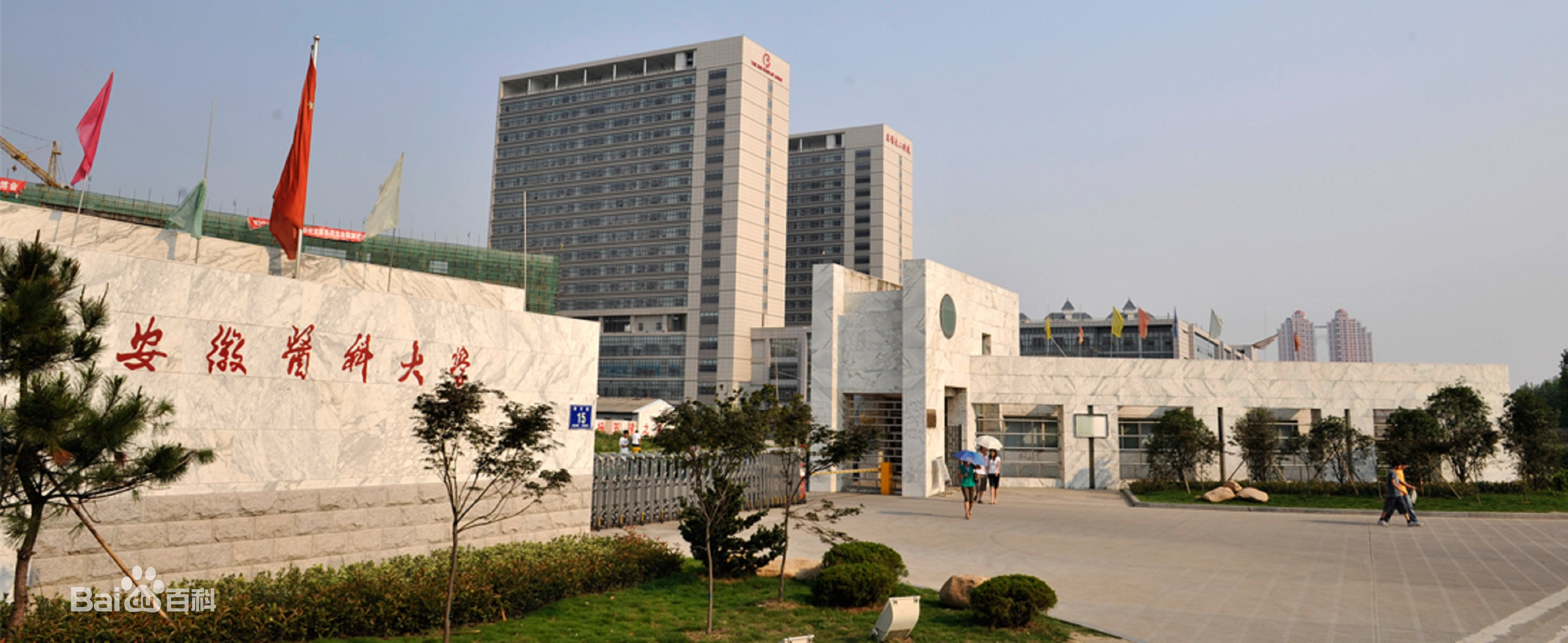 Anhui Medical University