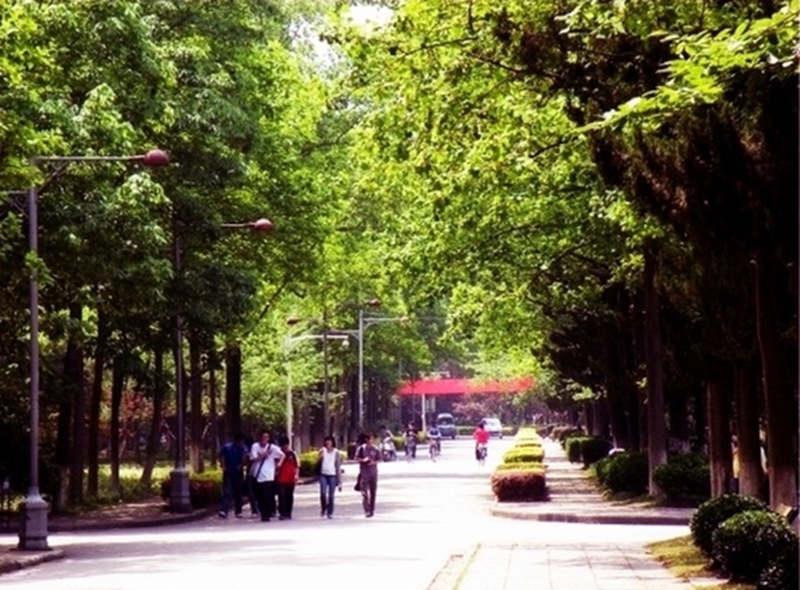Nanjing Forestry University 