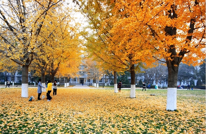 Beijing Institute of Technology 