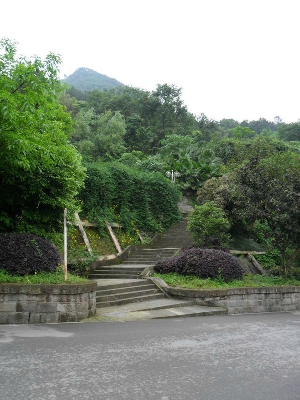 Sichuan International Studies University 