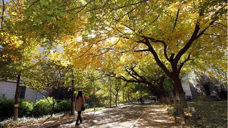 Shandong Normal University