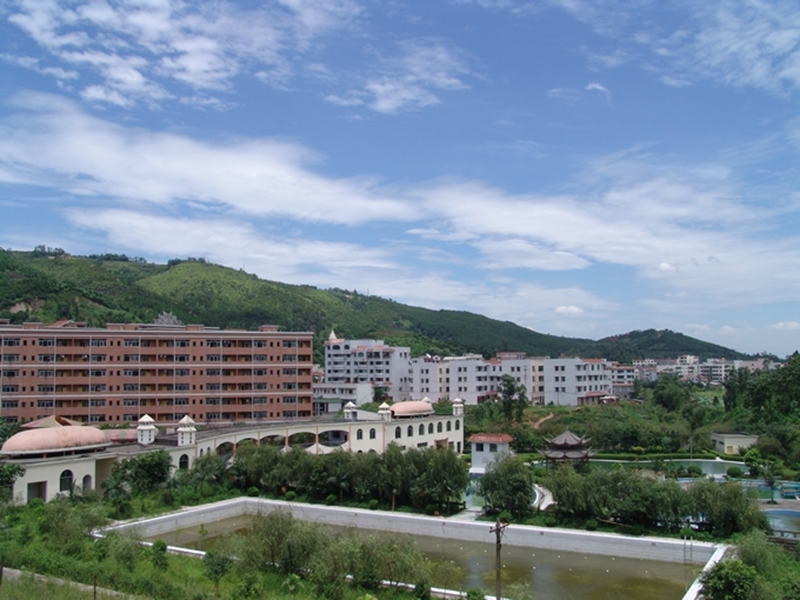 ทุนปริญญาตรีเมืองฉงชิ่ง