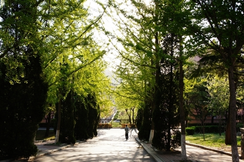 Dongbei University of Finance and Economics
