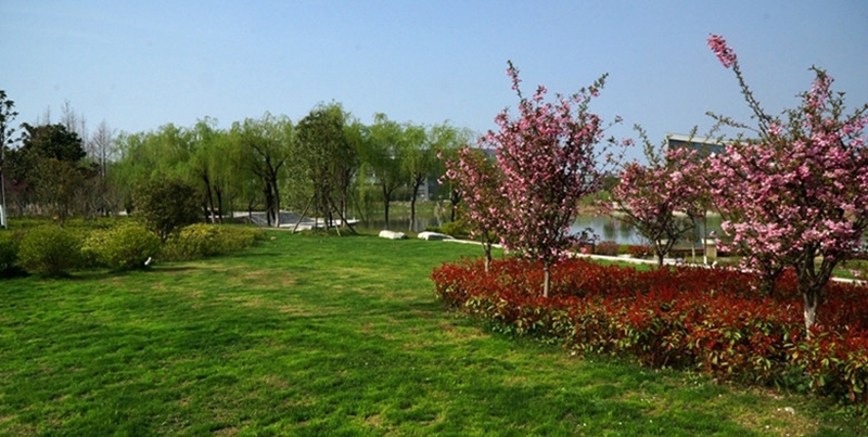 China Pharmaceutical University