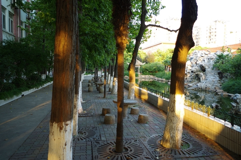 Shanghai University