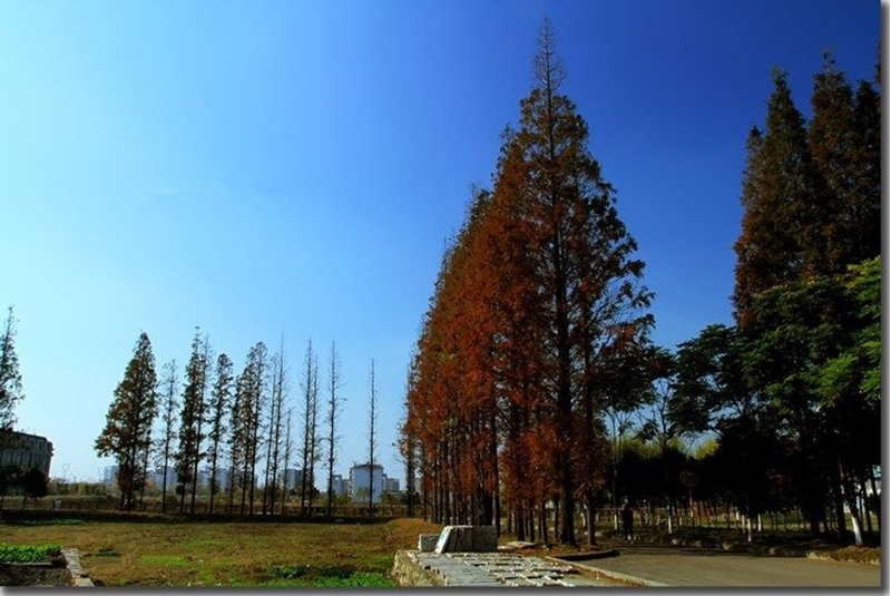 Nanjing University of Information Science and Technology