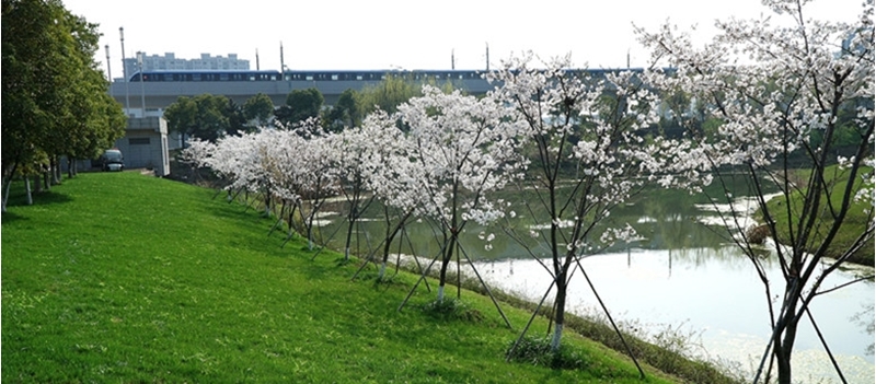 China Pharmaceutical University