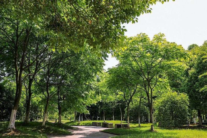 มหาวิทยาลัยในจีน:Zhejiang Sci-Tech University 