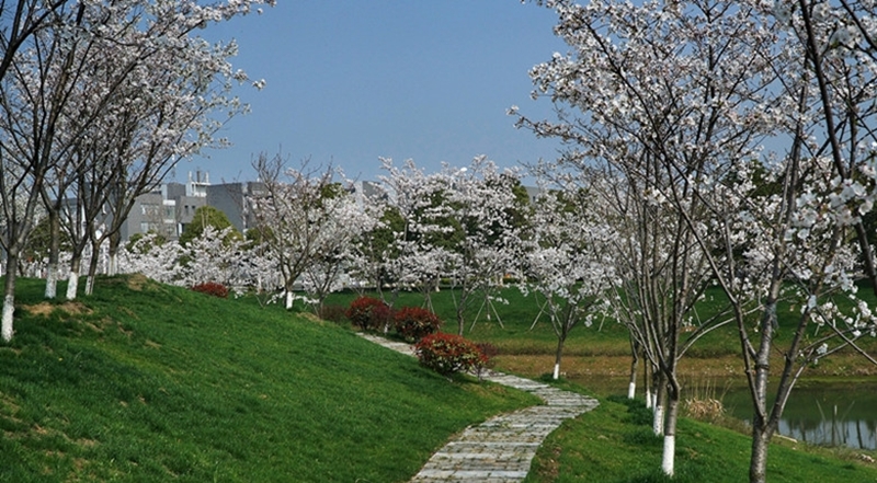 China Pharmaceutical University
