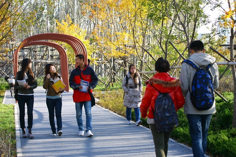 China University of Petroleum (UPC)