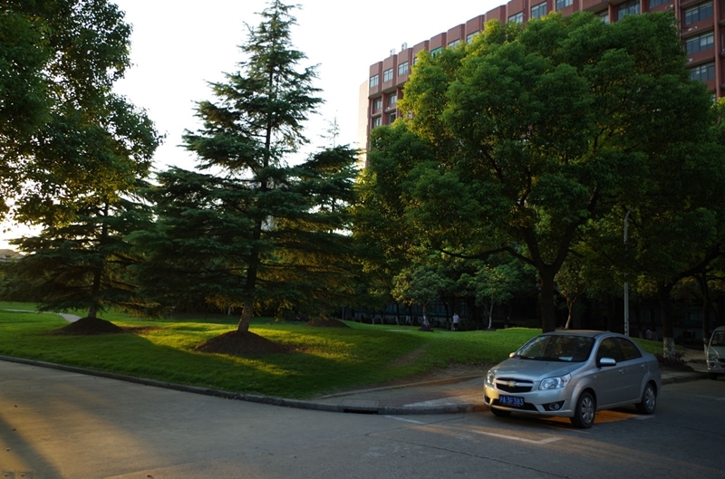 Shanghai University