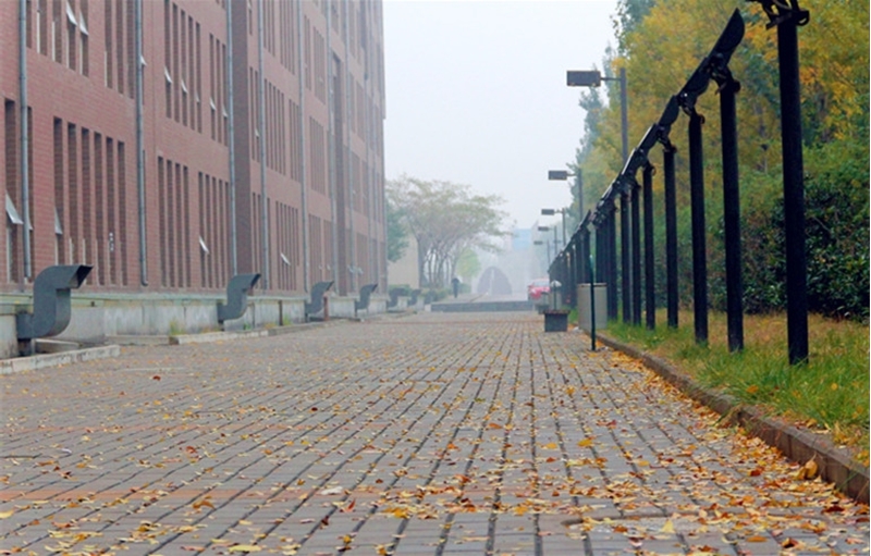 Shandong University of Art&Desig 