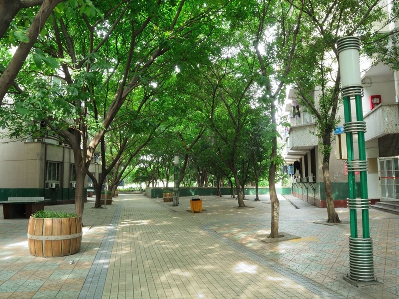 Chongqing Jiaotong University หอพัก   