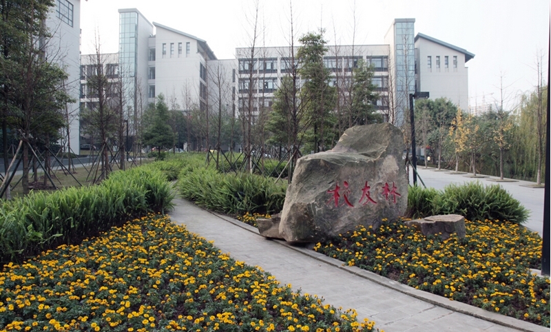 Chongqing University of Technology 