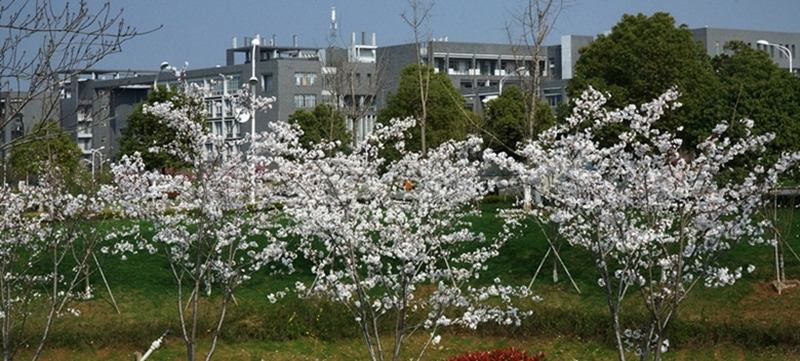 China Pharmaceutical University