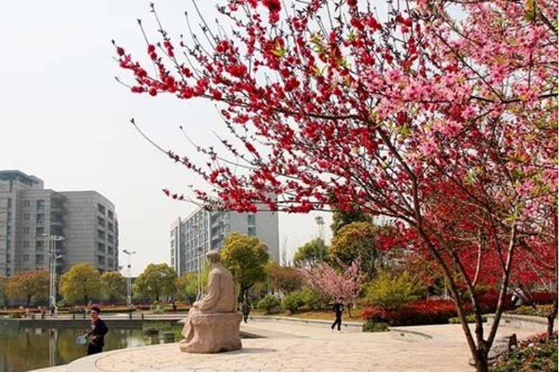 มหาวิทยาลัยในจีน:Hangzhou Normal University 