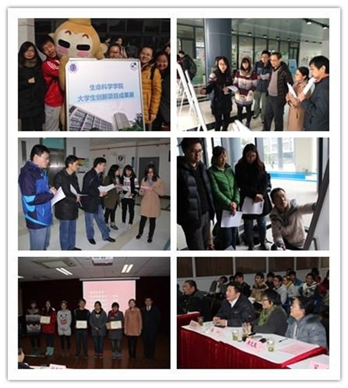 Shanghai University