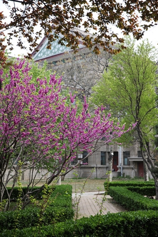 Shandong Normal University