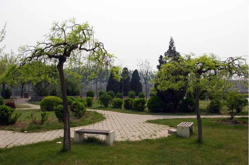 มหาวิทยาลัยในจีน  Civil Aviation University of China 