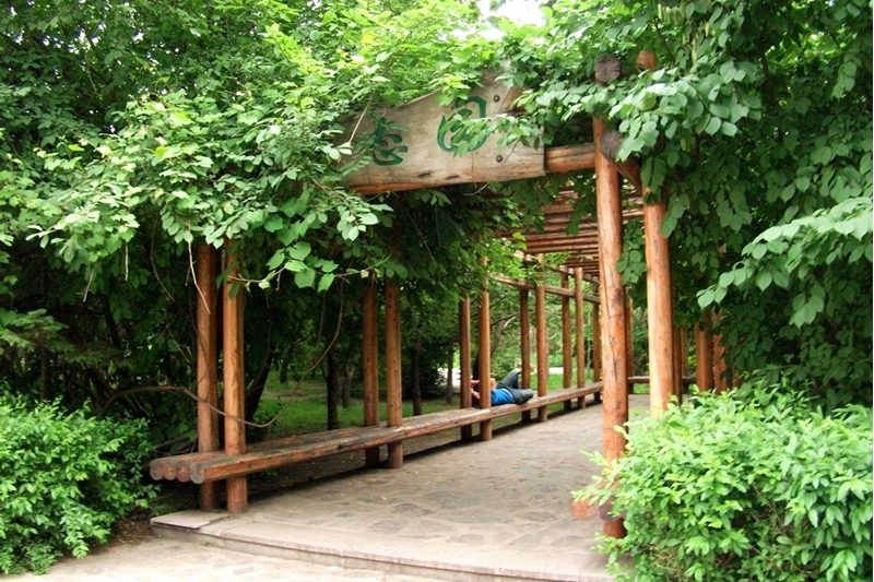 Heilongjiang University 
