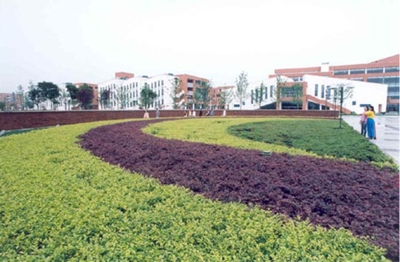 มหาวิทยาลัยในจีน Southwest Minzu University