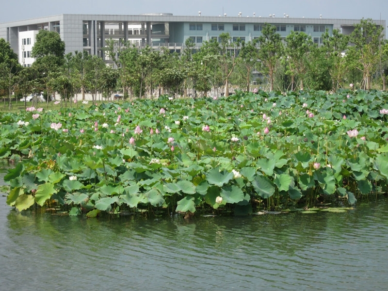 Nanjing Medical University 