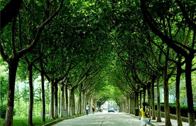 University of Jinan