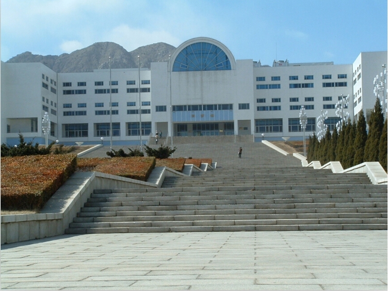 Dalian University